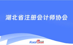 湖北省注册会计师协会,党建引领，高质量发展新征程