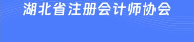 湖北省注册会计师协会,党建引领，高质量发展新征程