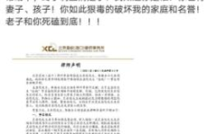 娱乐吃瓜君律师函,揭秘背后真相与法律应对