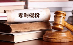 相同专利侵权,相同专利侵权行为的认定与法律后果”
