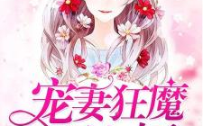 宠妻狂魔别太坏免费,从被算计到嫁给宠妻狂魔