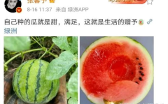 吃瓜娱乐圈吃瓜,吃瓜群众揭秘幕后真相