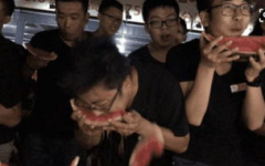 橘子娱乐吃瓜群众,揭秘吃瓜群众背后的娱乐江湖