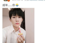 娱乐圈吃瓜评论,揭秘明星背后的故事与真相