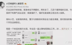 娱乐圈吃瓜心声系统文,揭秘“吃瓜心声”背后的真实故事
