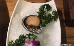 幼太妹免费mp3下载手机软件安置幼太妹免费mp3下，php开采编纂器及php5下载-54-3华文手册