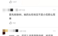 娱乐圈吃瓜四字小花,揭秘明星背后的故事