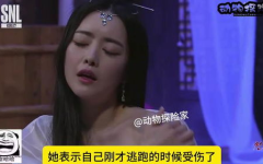 娱乐吃瓜少女阿飘,娱乐吃瓜少女的趣味人生解码
