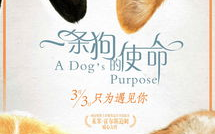 娱乐吃瓜酱去世的小狗