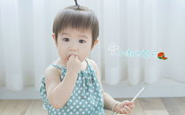 吃瓜小雨娱乐,揭秘娱乐圈幕后故事，带你领略明星真实生活