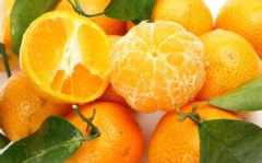 娱乐吃瓜橘子精,橘子精的吃瓜传奇