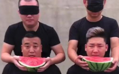娱乐吃瓜搞笑视频,娱乐吃瓜搞笑视频盘点