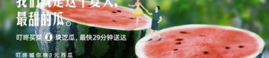 娱乐吃瓜常用文案,明星们的幕后故事与八卦风云