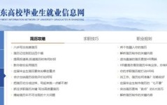 应届生找工作去哪个网站,揭秘热门招聘网站，助你顺利找到理想工作