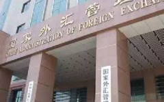 中国外汇管理局,维护外汇市场稳定与促进国际收支平衡的职能与成就